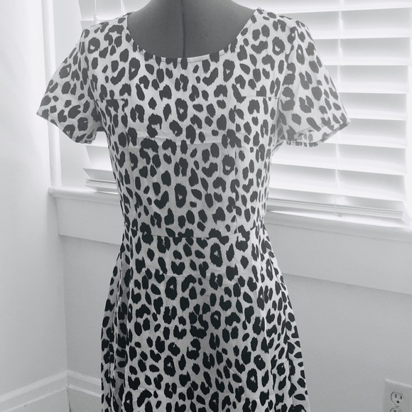 Collective Concepts Dresses & Skirts - Leopard Cheetah Fit/Flare Dress